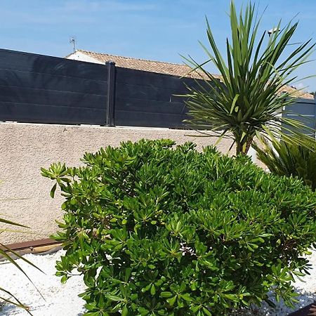 La Villa De L'Olivier Piscine Privee Et Parking Carcassonne Dış mekan fotoğraf