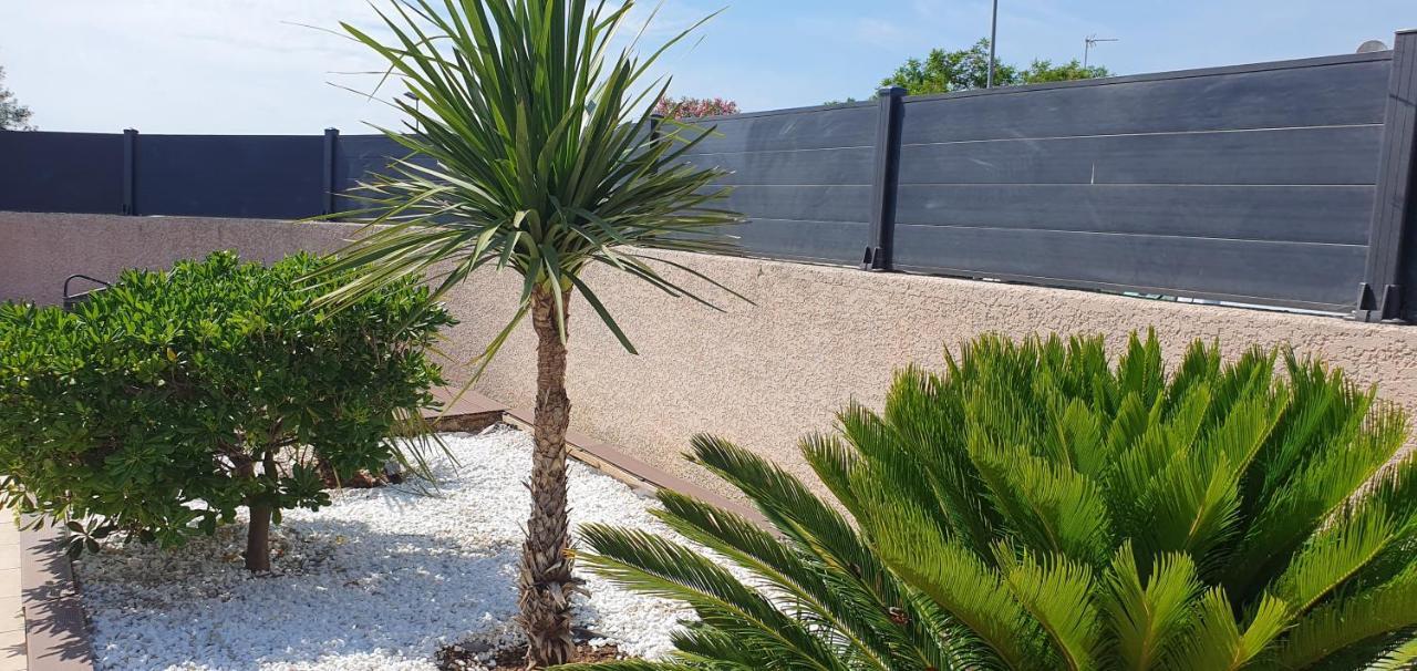 La Villa De L'Olivier Piscine Privee Et Parking Carcassonne Dış mekan fotoğraf