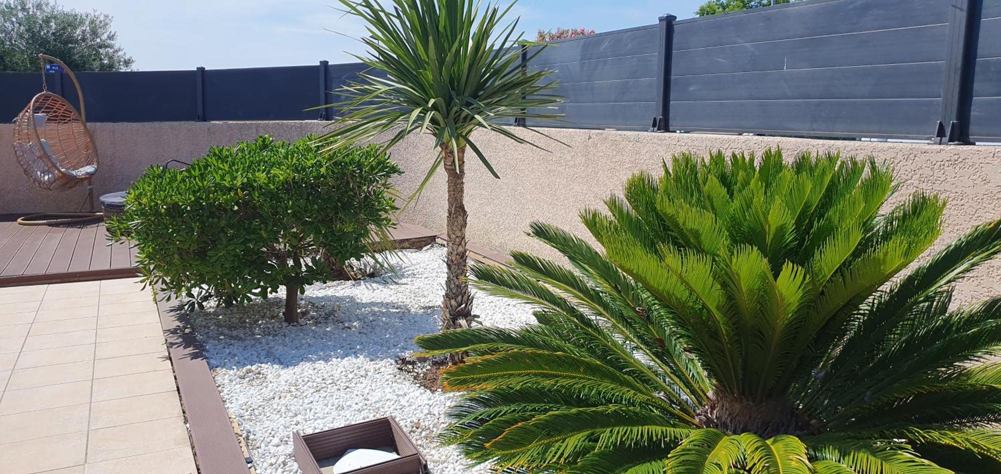 La Villa De L'Olivier Piscine Privee Et Parking Carcassonne Dış mekan fotoğraf